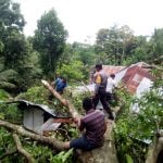 Bhabinkamtibmas dan BPBD Tinjau Rumah Warga yang Rusak Akibat Pohon Tumbang