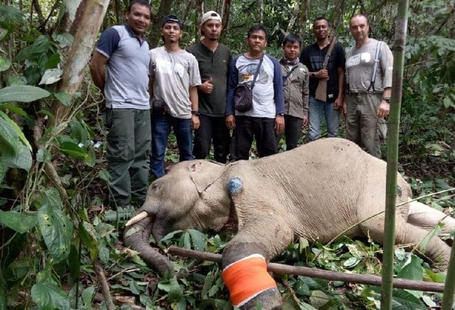 760b31e9-81b5-4b04-9f39-8baffbaf19b5_169