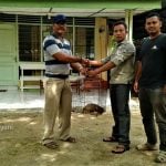 Satpam BPJS Aceh Selatan Temukan seekor Trenggiling