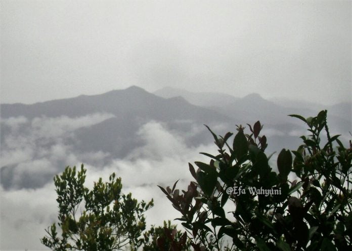 WhatsApp Image 2019-08-11 at 09.29.04