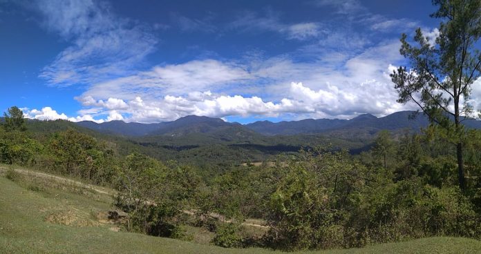 WhatsApp Image 2019-09-05 at 12.46.09