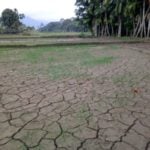 Sering Kekeringan, Warga Labuhanhaji Barat Aceh Selatan Minta Dibangun Irigasi