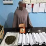 IRT di Abdya Ditangkap Polisi, Ganja Satu Kardus Disita