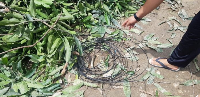 f8f30aa0-89a5-491f-9907-e583d2d962d5