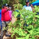 Jaga Ekosistem Danau Laot Bhee, Bupati Aceh Jaya Bersama Pokdarwis Tanam 1000 Pohon