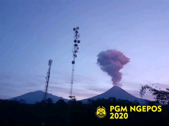 WhatsApp Image 2020-02-13 at 12.37.21