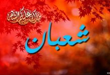 Niat Puasa Nisfu Sya’ban Beserta Amalan dan Keutamaannya ilustrasi malam nisfu sya'ban