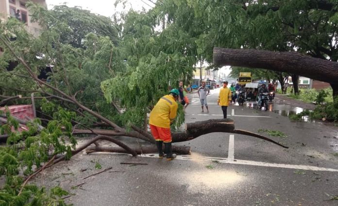 95820645_1150616225281274_9120594483073777664_n