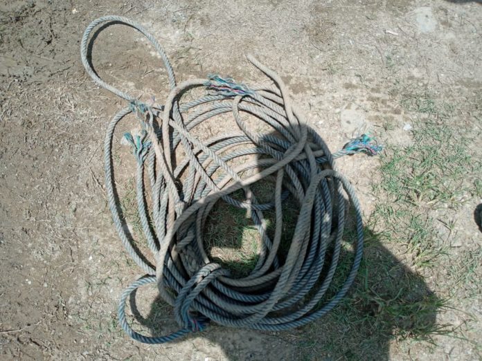 WhatsApp Image 2020-05-16 at 15.16.40