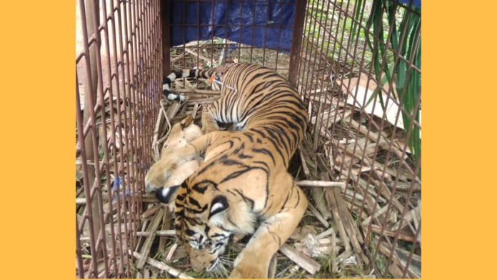 20200615_152112_0000