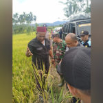 Abusyik Pantau Hasil Penyemprotan Pupuk Alam Organik