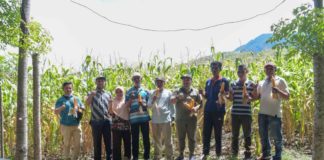 Petani Jagung Gampong Teuladan, Jatuh Bangun dan Bangkit Berkat Bantuan Pemerintah
