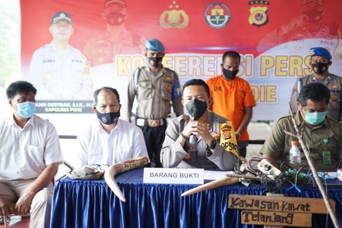 950a2abb-ef29-4671-970c-b2d65b5eab82