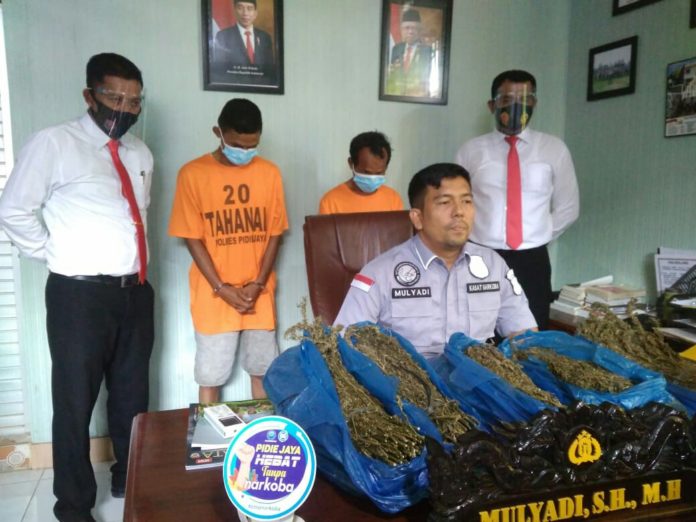 IMG-20201203-WA0007_1606974619382