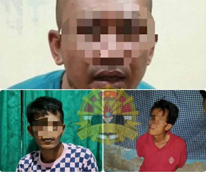 IMG-20201211-WA0246-696x794