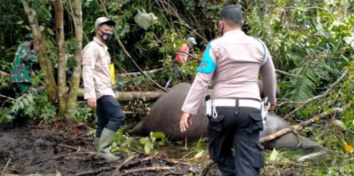 photostudio_1610433373143-1024x1024