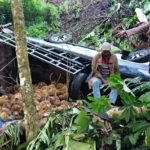 Mobil Pick Up Bermuatan Durian Jatuh ke Jurang di Bener Meriah