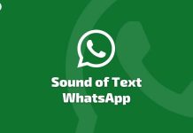 Sound of Text WA
