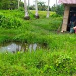 Balita di Aceh Utara Ditemukan Meninggal Mengapung di Sumur