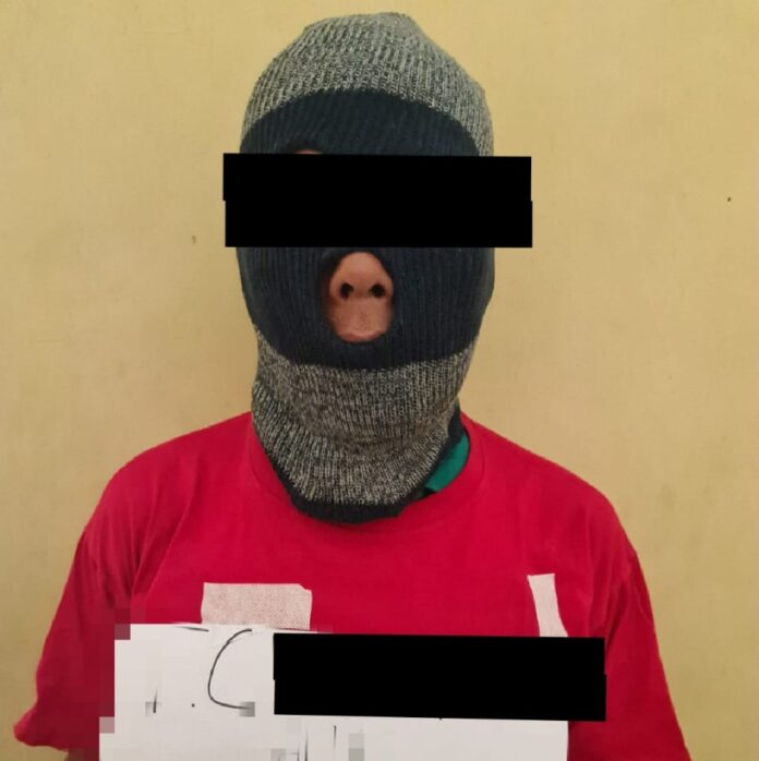 f0230fbd-50f5-41c9-a8dd-c5bf7be8ffe1_1