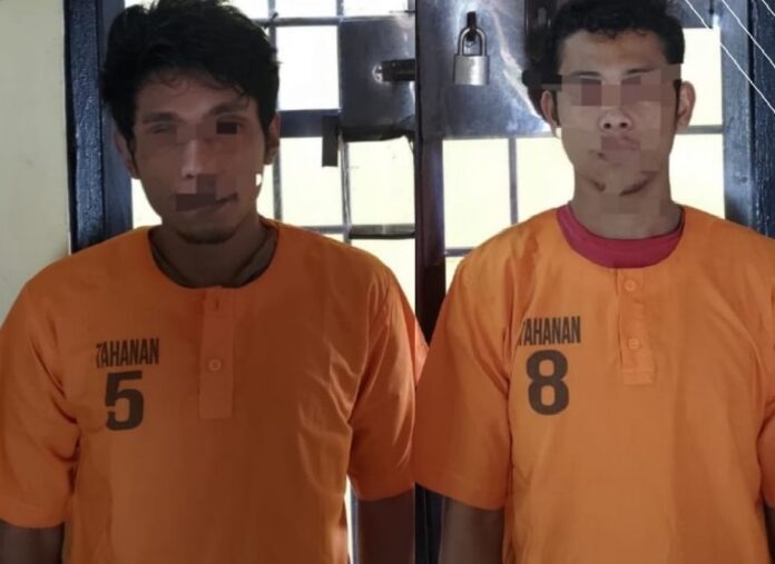 726987c4-f35a-494e-be89-60d6bbb07efe - Copy - Copy