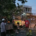 Pohon Tumbang Timpa Mobil di Lhoknga, Sembilan Orang Luka-Luka