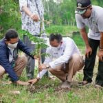 PT PIM Hijaukan Pantai Krueng Geukueh Aceh Utara dengan Penanaman Pohon
