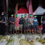 Enam Maling Brondolan Sawit di Aceh Singkil Dibekuk Polisi