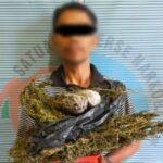 Jual Ganja, Warga Pijay Diciduk Polisi