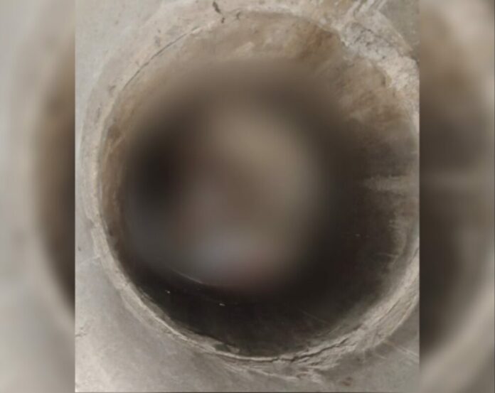 Editor_2_20220329145514