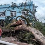 Pohon Tumbang Timpa Ruko di Pidie, Tiang Listrik Ikut Roboh