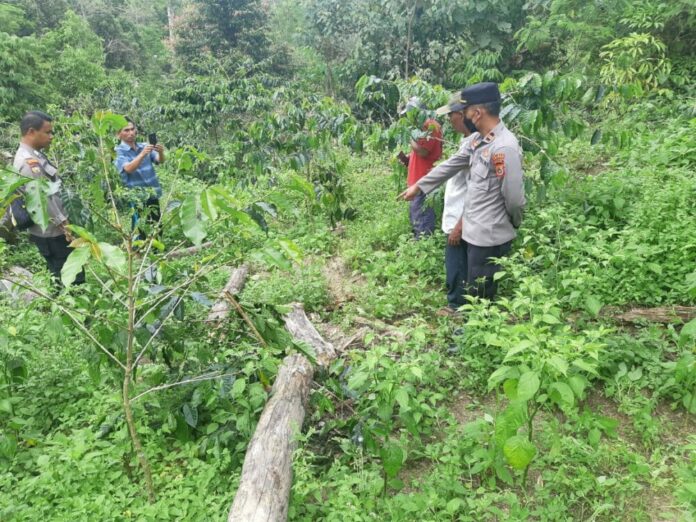 ecef598c-9af3-43c9-8b20-467490ee1a46