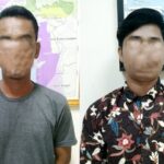 Angkut 4 Ton Kayu Ilegal, Dua Pelaku Ditangkap di Aceh Selatan