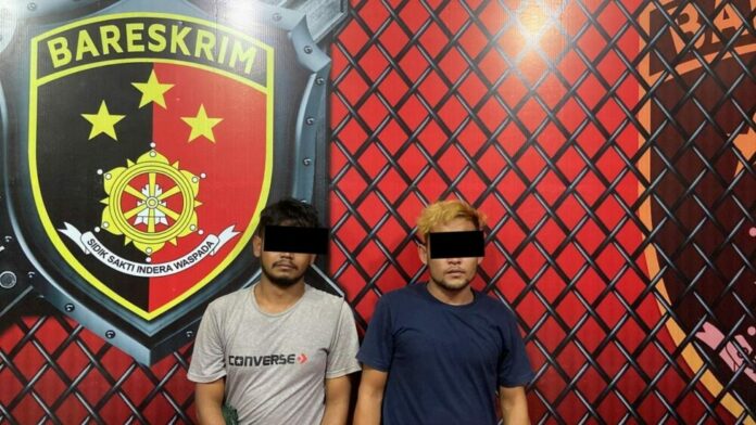 c518b4fa-0df8-4056-ba90-3622d33d8eee