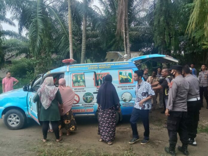 6fc4df8f8040c4badbf5fc1cecc2498f