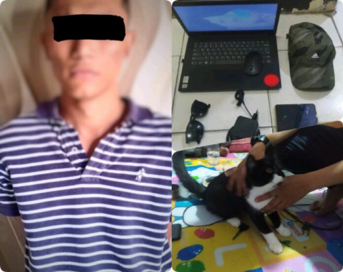 c7d3bd488bfb5cf5bc120b900d60f039