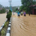 Puluhan Gampong di Aceh Selatan Terendam Banjir