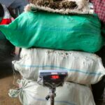 Polisi Ringkus Lima Pelaku dan Amankan 48 Kg Ganja di Aceh Utara