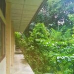 SMK Kelautan Abdya Senilai Rp1,2 Miliar Terbengkalai, Keuchik: Seperti Gedung Hantu