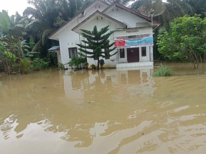 5f315ff2622a3208684af6bc0043a9cc