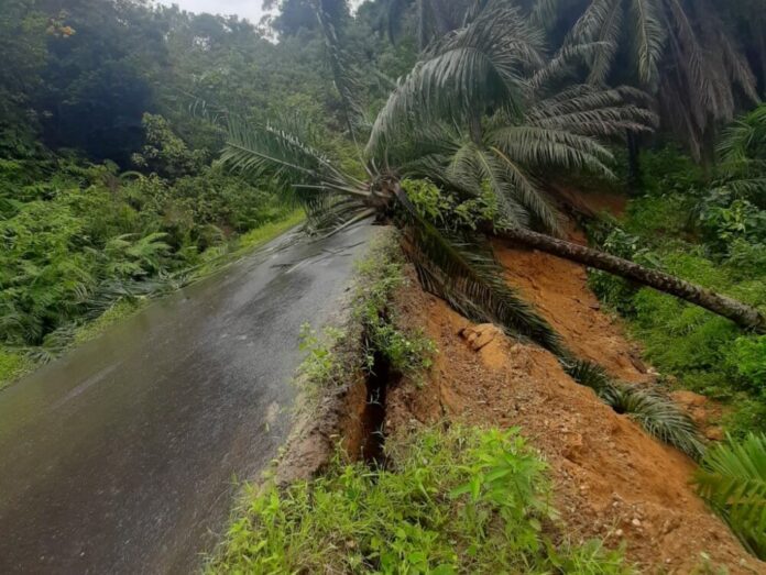 88e98104b466a4917b50cf3aad68eab2