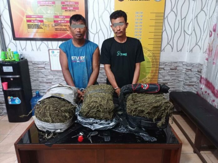 d79c4bff283cb45df86cc15863ce99f0