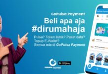 aplikasi bisnis pulsa