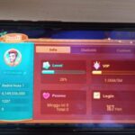 Penjual Chip Higgs Domino di Langsa Diciduk Polisi