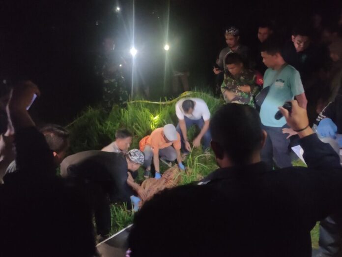 73ebb32019be887f621f036d7b1b5d34