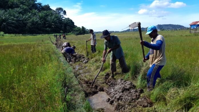 0a8bfc8db2ea36c8a1e751a3f5887827