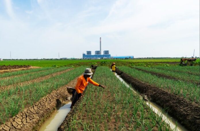 73a5c8af44510c5f1df809373201c225