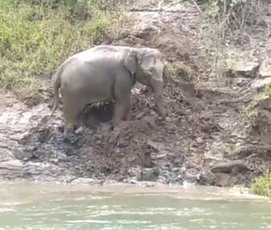 646aae96e0e1c5c7ee2626320bcebfb5