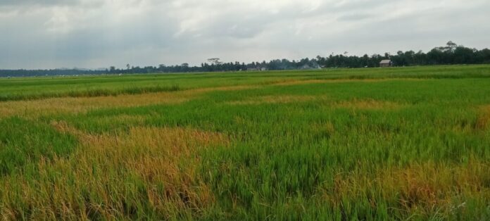 1de063d17aef055dce7f3fdb06e3dce8