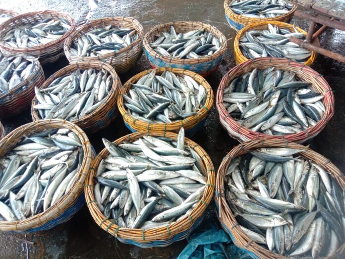 0fa448c92be1f34d96f07d354cf8084a